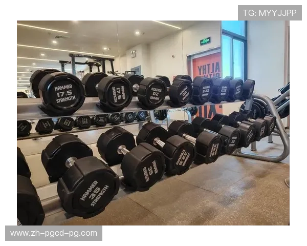 室内健身器材名称及图片对照大全