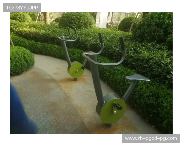 社区健身器材配置与使用情况分析报告